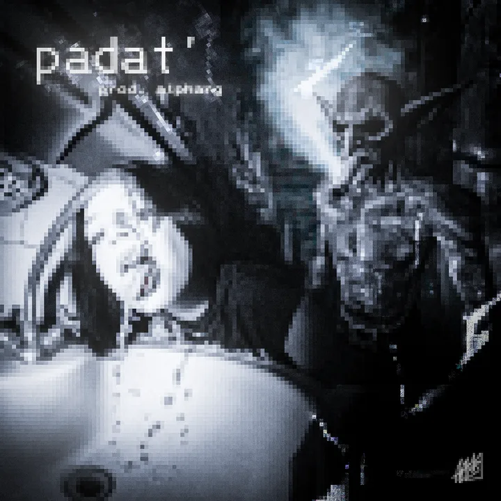 Обложка трека padat'
